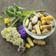 4 herbs for home use, Karmik Channels, Jill Spirithorse, Blogs