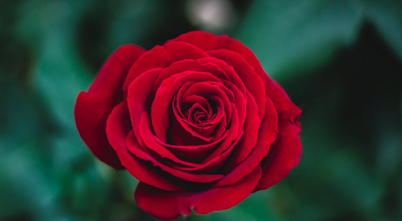 Importance of Names, Spiritual Meaning of Names, Karmik Channels Blogs