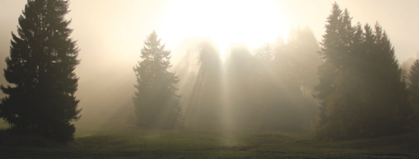 Healing from Grief, Karmik Channels Blogs, Mediumship