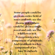 Gratitude, Karmik Channels Blog