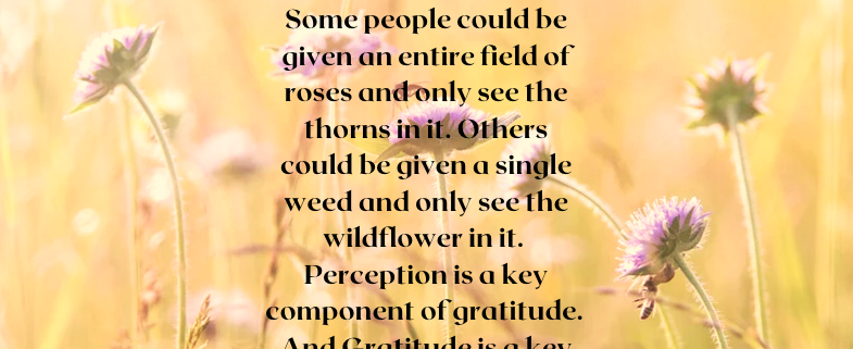Gratitude, Karmik Channels Blog