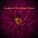 Connect to The Original Vision