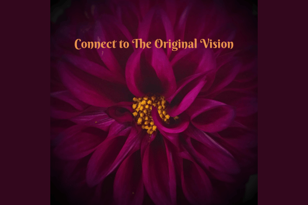 Connect to The Original Vision