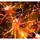 Nerve System, Understanding the Energy Within, Karmik Channels, Blog