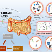 Gut-Brain Axis