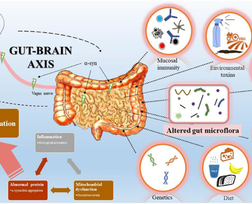 Gut-Brain Axis