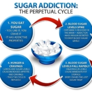 Fat and Sugar, Insulin, Insulin Resistance, Scott Compton