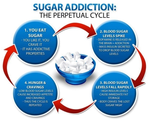 Fat and Sugar, Insulin, Insulin Resistance, Scott Compton
