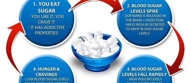 Fat and Sugar, Insulin, Insulin Resistance, Scott Compton