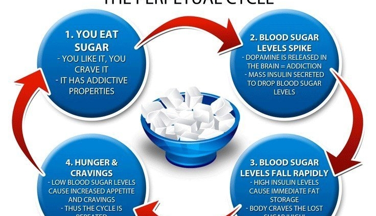 Fat and Sugar, Insulin, Insulin Resistance, Scott Compton