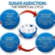 Fat and Sugar, Insulin, Insulin Resistance, Scott Compton