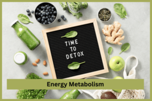 Energy Metabolism