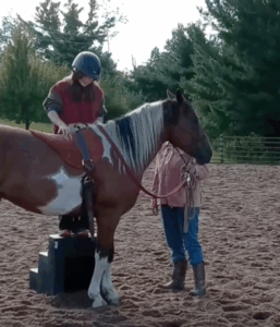 Horse Activities