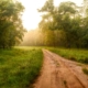 Road to Healing