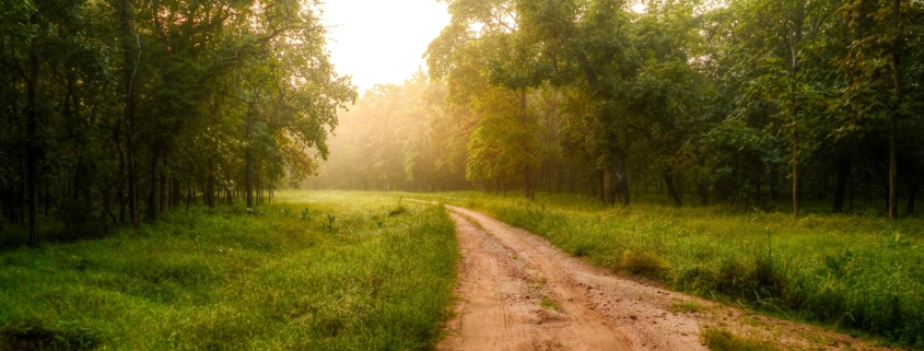 Road to Healing