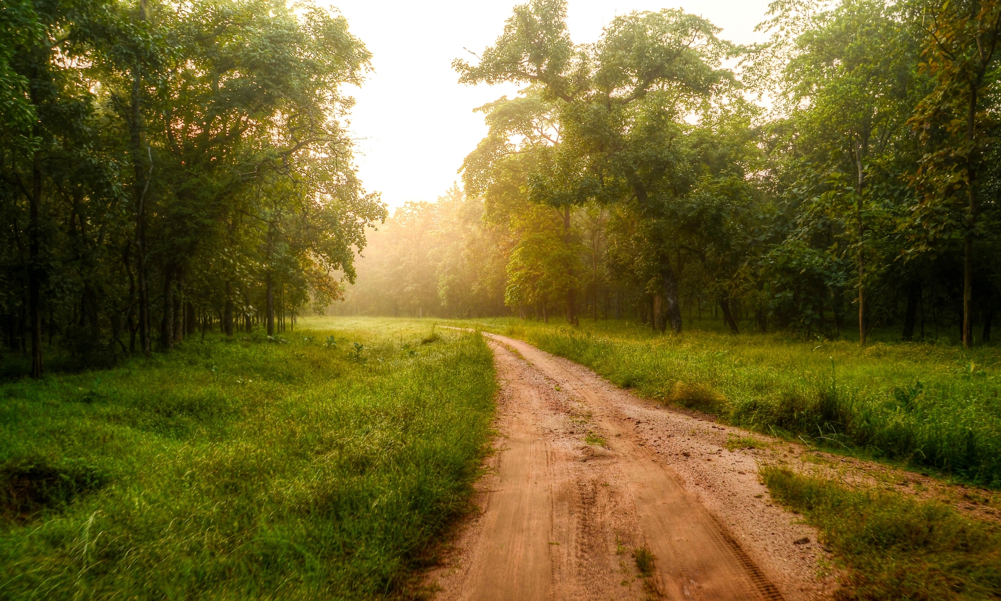 Road to Healing
